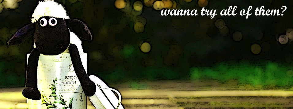 Features of Microgamin Slots with 243 Ways to Win