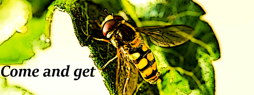 Find Your Perfect Mobile Slot for iPad